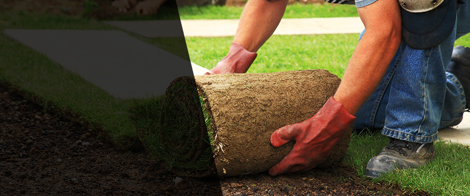 Norwich Landscapers